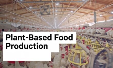 What are the key challenges in scaling up plant-based food production?