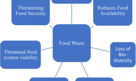 What are the best practices for reducing food waste in processing facilities?