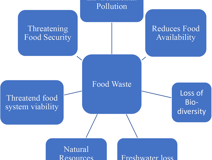 What are the best practices for reducing food waste in processing facilities?