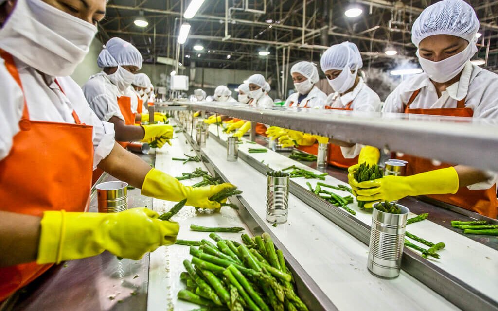 Tamil Nadu’s Food Processing Output Projected to Reach ₹1 Lakh Crore in Two Years