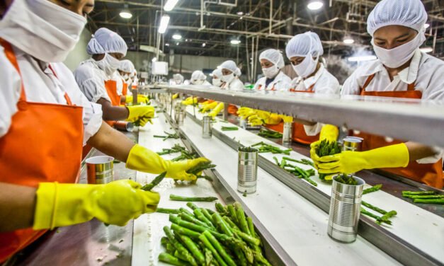 Tamil Nadu’s Food Processing Output Projected to Reach ₹1 Lakh Crore in Two Years