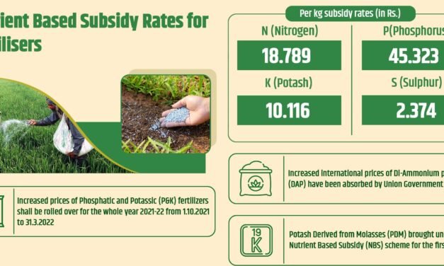 Government Announces Subsidy Hike to Support Fertilizer Industry
