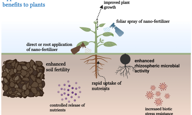 Government Promotes Use of Nano Fertilizers to Improve Yield