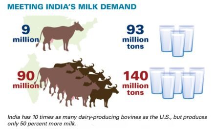 Dairy Sector Witnesses 10% Growth Amid Rising Demand.