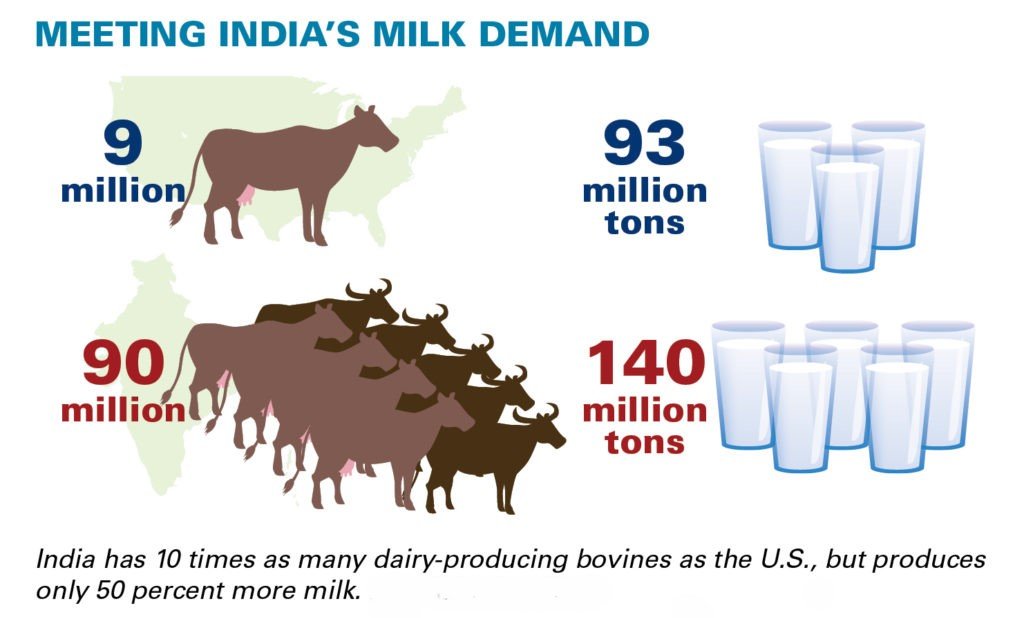 Dairy Sector Witnesses 10% Growth Amid Rising Demand.