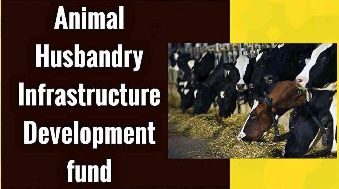 Animal Husbandry Infrastructure Development Fund Launched