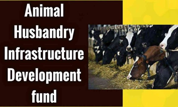 Animal Husbandry Infrastructure Development Fund Launched