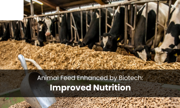 Innovations in Feed Technology Enhance Livestock Health