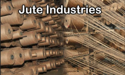 Jute Industry Revitalized Through Government Support Programs