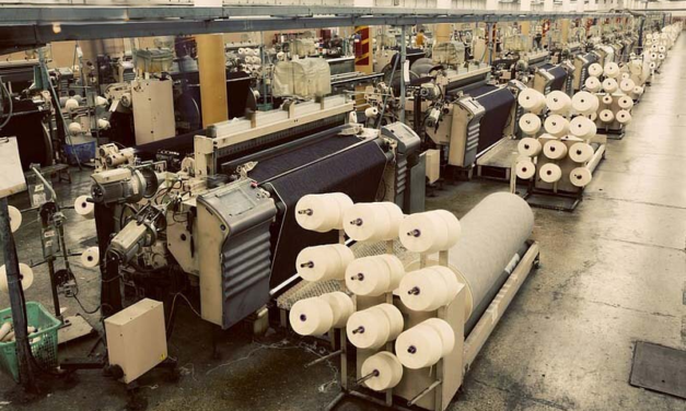 Bamboo Fiber Emerges as Sustainable Alternative in Textile Industry