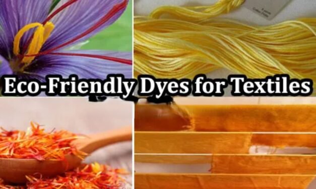 India’s Textile Industry Adopts Eco-Friendly Dyeing Methods