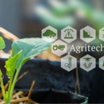 Agri-Tech Startups Transform India’s Agricultural Landscape