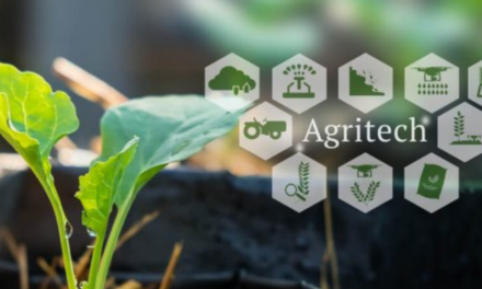 Agri-Tech Startups Transform India’s Agricultural Landscape