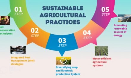 Government Policies Encourage Sustainable Agricultural Practices