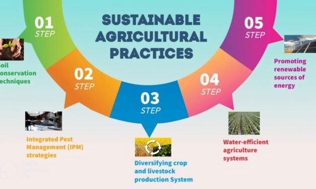 Government Policies Encourage Sustainable Agricultural Practices