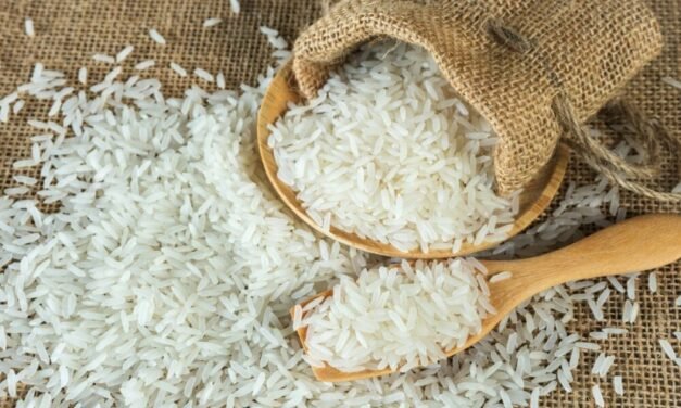 India’s Rice Stocks Reach All-Time Highs, Improving Export Opportunities