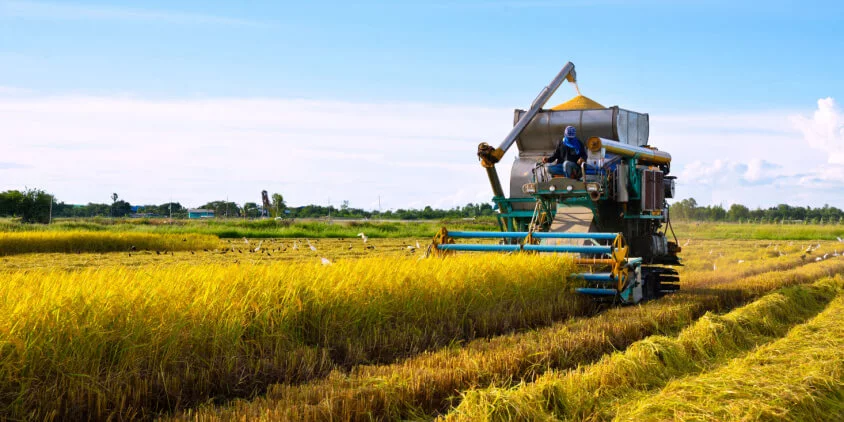 Rice Harvesting and Transportation Are Revolutionized by Dual-Unloading Mode