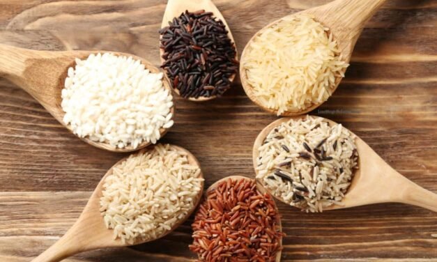 India Creates 126 New Types of Rice Despite Climate Change