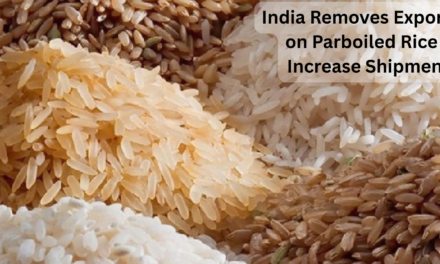 India Removes Export Tax on Parboiled Rice to Increase Shipments