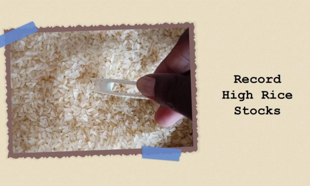 India’s Rice Stocks Surge to Record High, Boosting Export Prospects