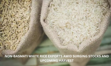 “India Resumes Non-Basmati White Rice Exports Amid Surging Stocks and Upcoming Harvest”