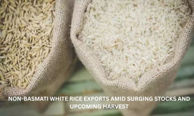 “India Resumes Non-Basmati White Rice Exports Amid Surging Stocks and Upcoming Harvest”