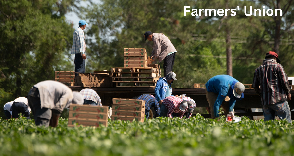 Farmers’ Union: Older People May Take Severe Steps to Avoid Passing on Their Wealth