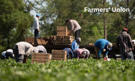 Farmers’ Union: Older People May Take Severe Steps to Avoid Passing on Their Wealth