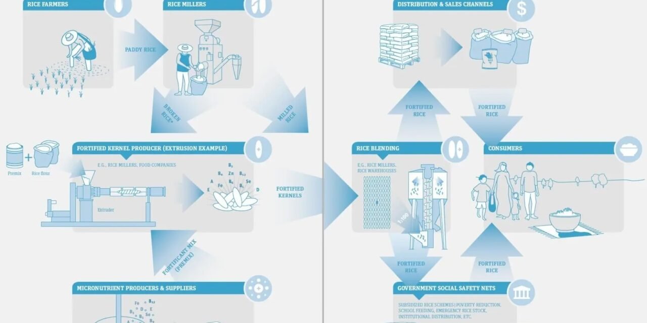Blockchain Technology Makes Global Rice Supply Chains More Transparent