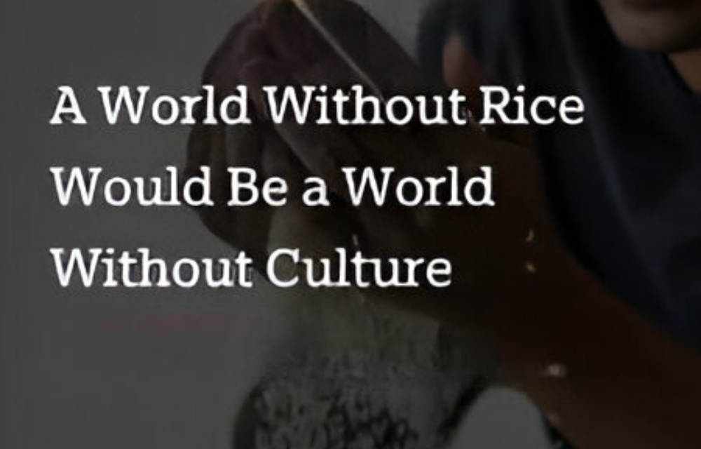 A World Without Rice Would Be a World Without Culture