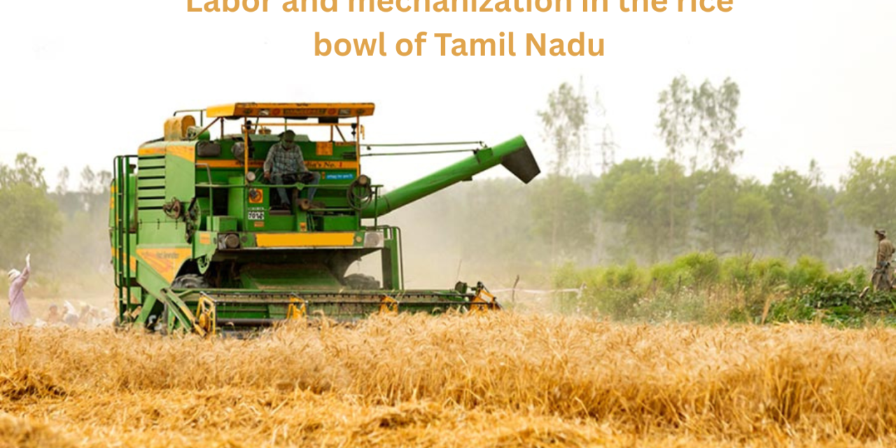 The challenges of labor and mechanization in the rice bowl of Tamil Nadu