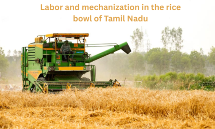 The challenges of labor and mechanization in the rice bowl of Tamil Nadu