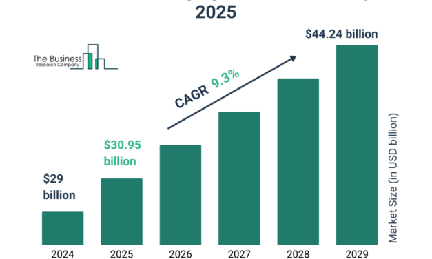 India’s Packaged Snacks Market Expected to Reach $15 Billion by 2025