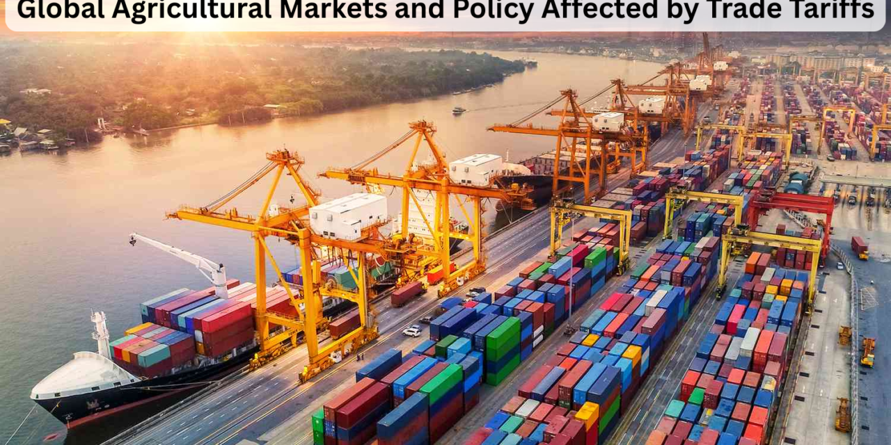 Global Agricultural Markets and Policy Affected by Trade Tariffs