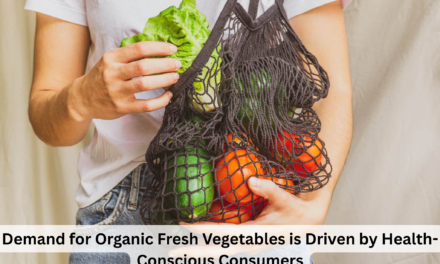 Demand for Organic Fresh Vegetables is Driven by Health-Conscious Consumers