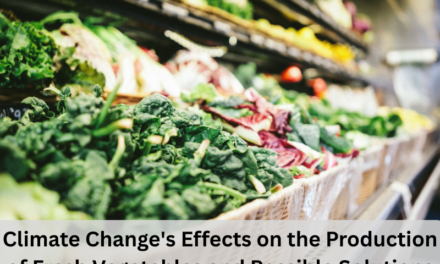 Climate Change’s Effects on the Production of Fresh Vegetables and Possible Solutions