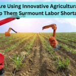 Farmers Are Using Innovative Agricultural Tools to Help Them Surmount Labor Shortages