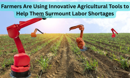 Farmers Are Using Innovative Agricultural Tools to Help Them Surmount Labor Shortages