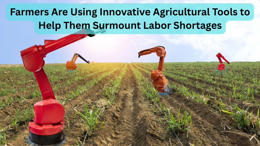 Farmers Are Using Innovative Agricultural Tools to Help Them Surmount Labor Shortages