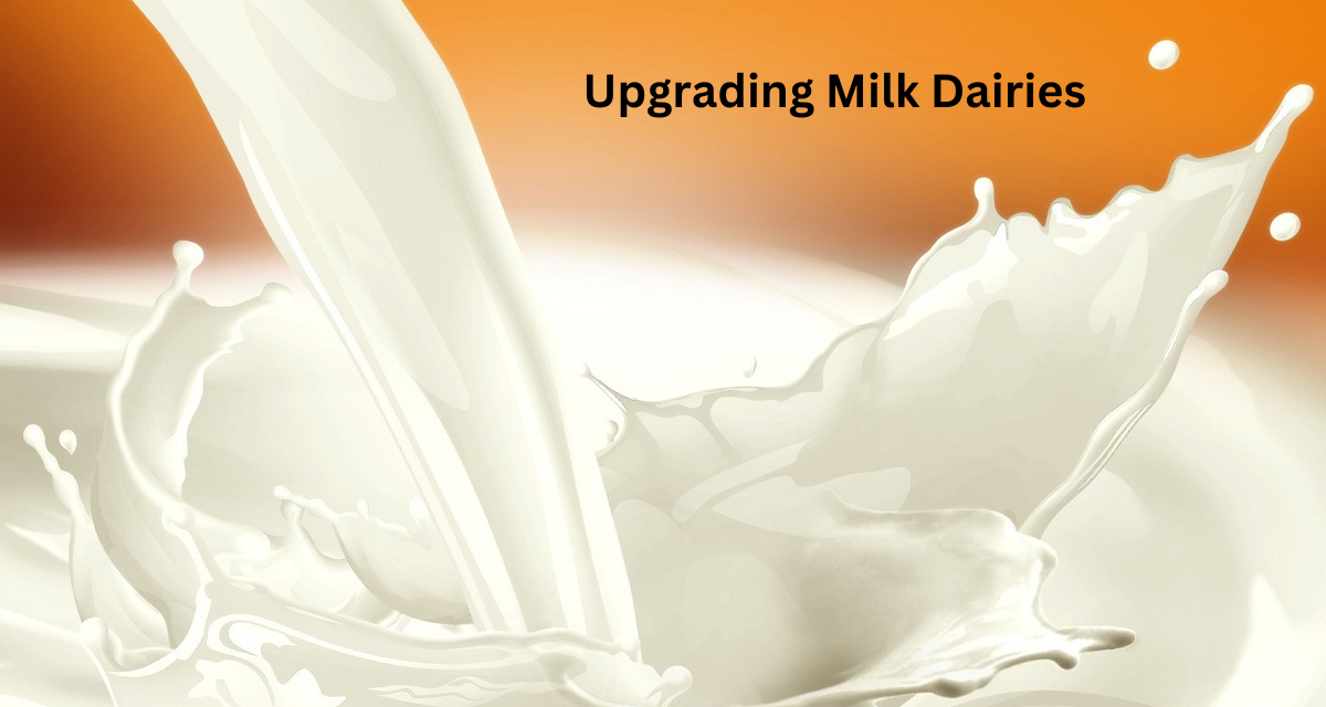 Rs 30 Crore Allocated for Upgrading Milk Dairies in Tamil Nadu