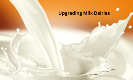 Rs 30 Crore Allocated for Upgrading Milk Dairies in Tamil Nadu