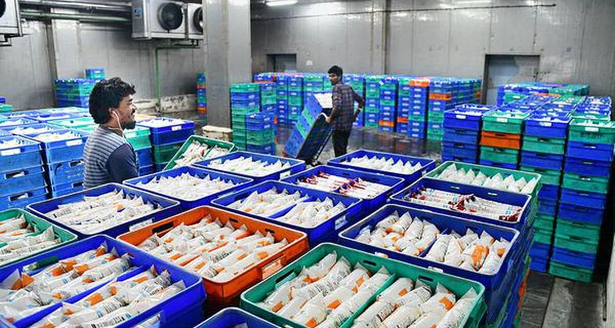 Aavin to Hike Milk-Processing Capacity by 7 Lakh Litres per Day