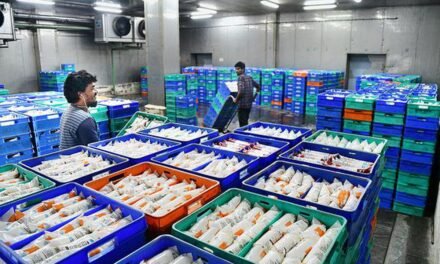 Aavin to Hike Milk-Processing Capacity by 7 Lakh Litres per Day
