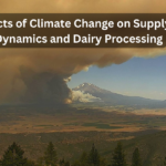 The Effects of Climate Change on Supply Chain Dynamics and Dairy Processing