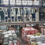 Modern Rice Mills to Be Established in Four Tamil Nadu Districts to Combat Paddy Spoilage