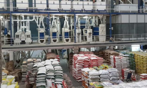 Modern Rice Mills to Be Established in Four Tamil Nadu Districts to Combat Paddy Spoilage