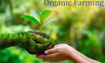 What are the alternatives to chemical fertilizers for organic farming?