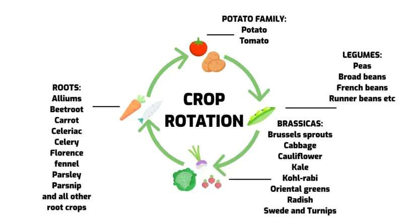 How does crop rotation affect fertilizer use?