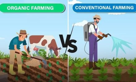 What are the differences between free-range, organic, and conventional livestock farming?