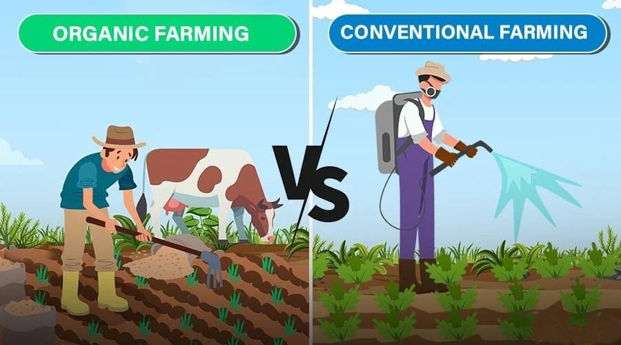 What are the differences between free-range, organic, and conventional livestock farming?